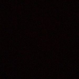 Meet your Posher, Liz